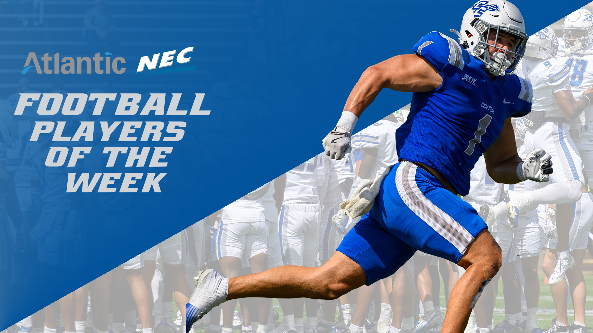 Stoll Named NEC Defensive Player Of The Week