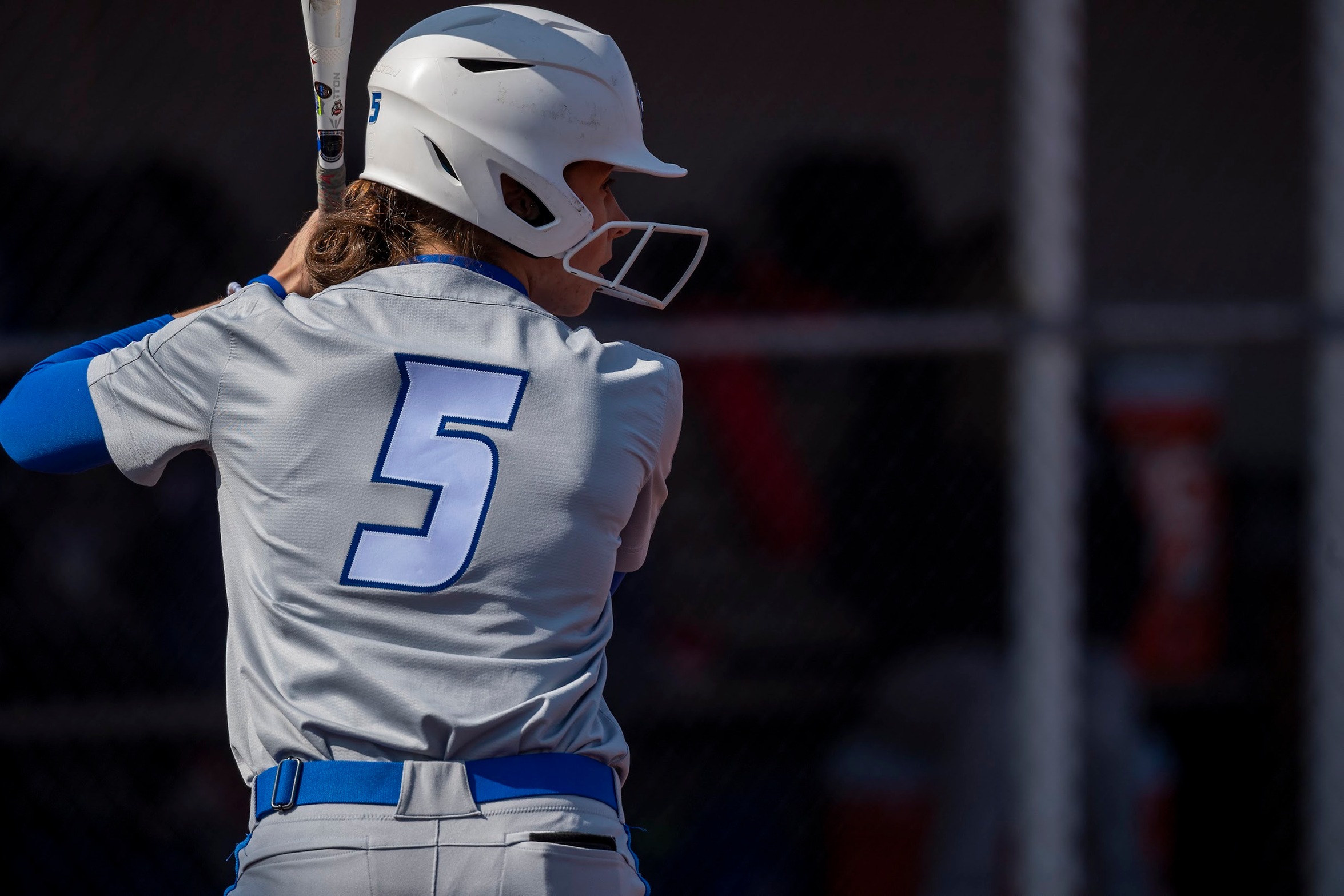 Softball Splits Saturday Series