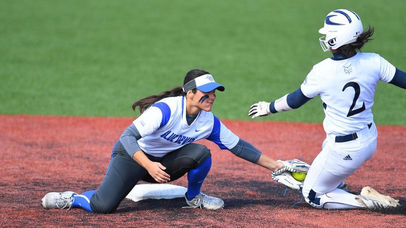 Softball Falls to Saint Francis Monday