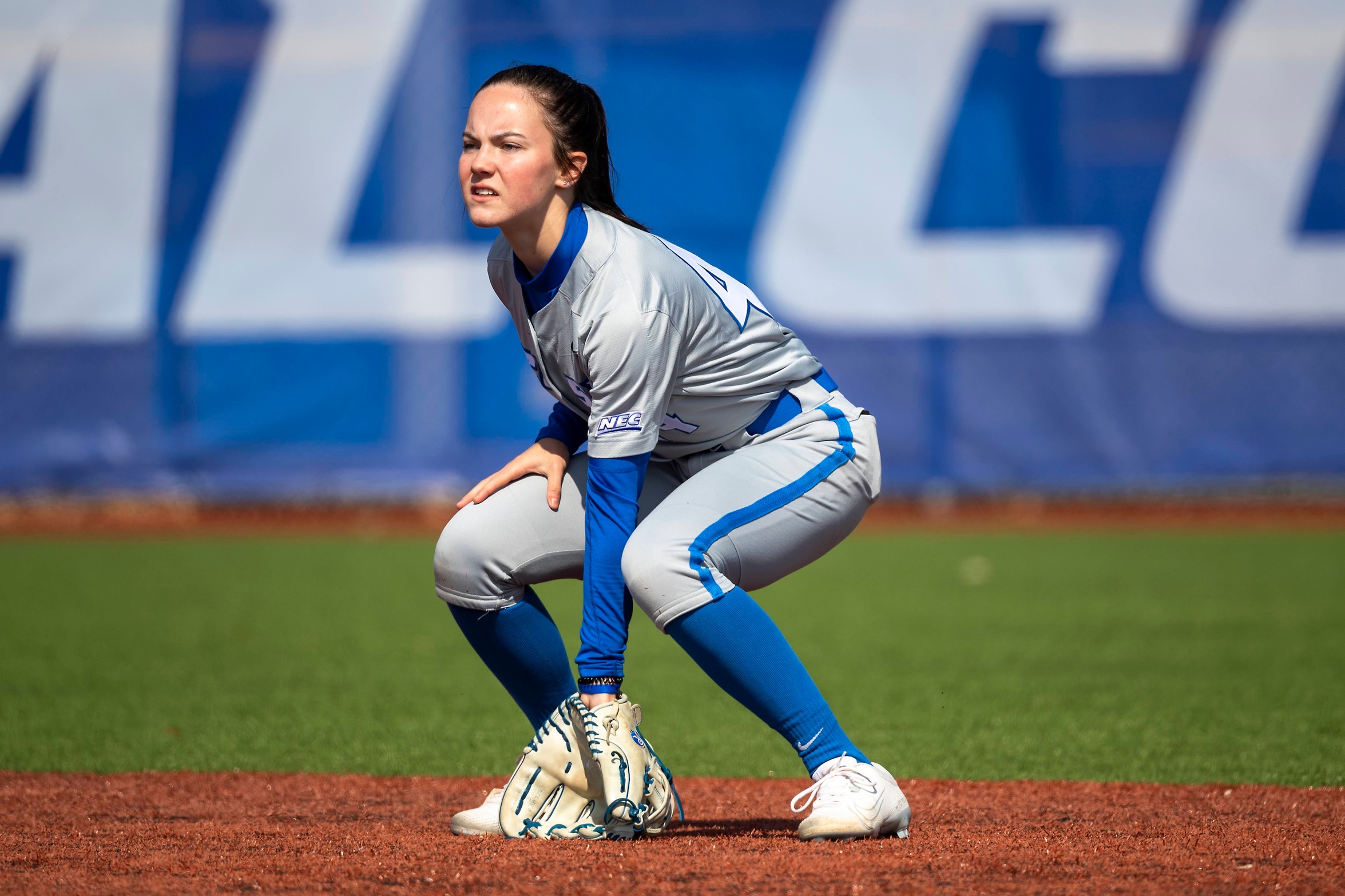 Softball Falls in Sunday Finale