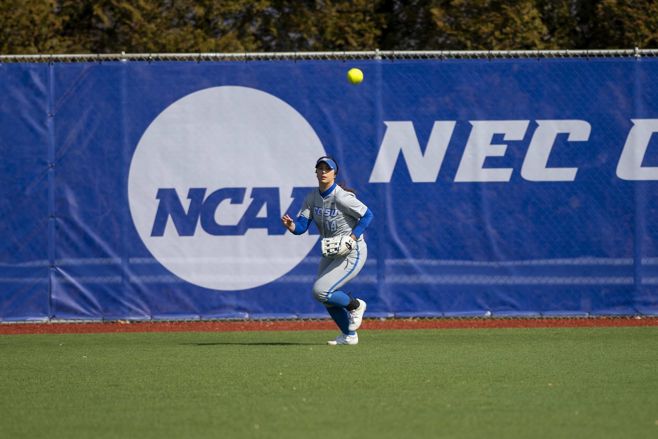 Softball Drops Doubleheader to Wagner