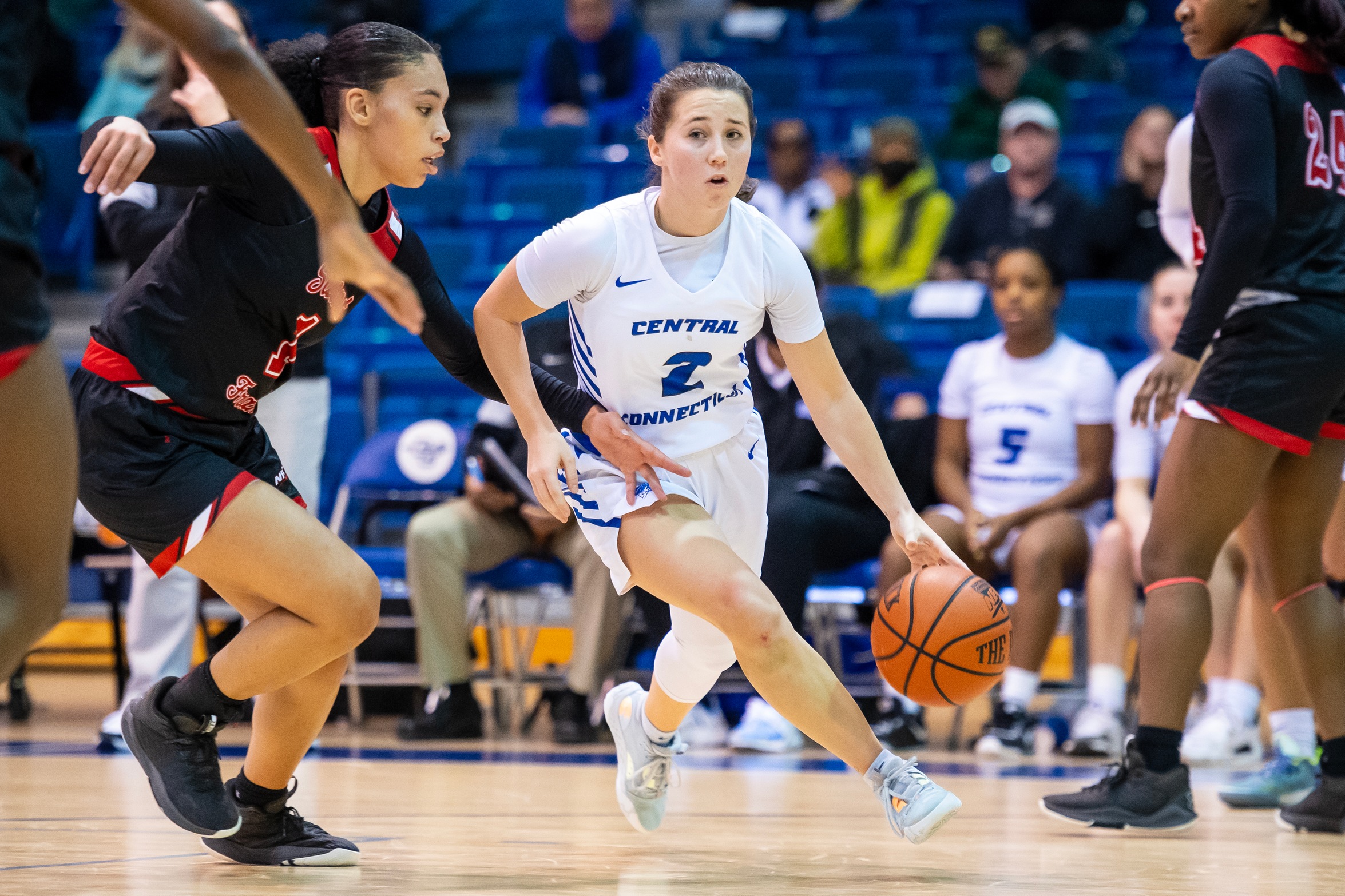 CCSU Falls to Fairfield Sunday Afternoon