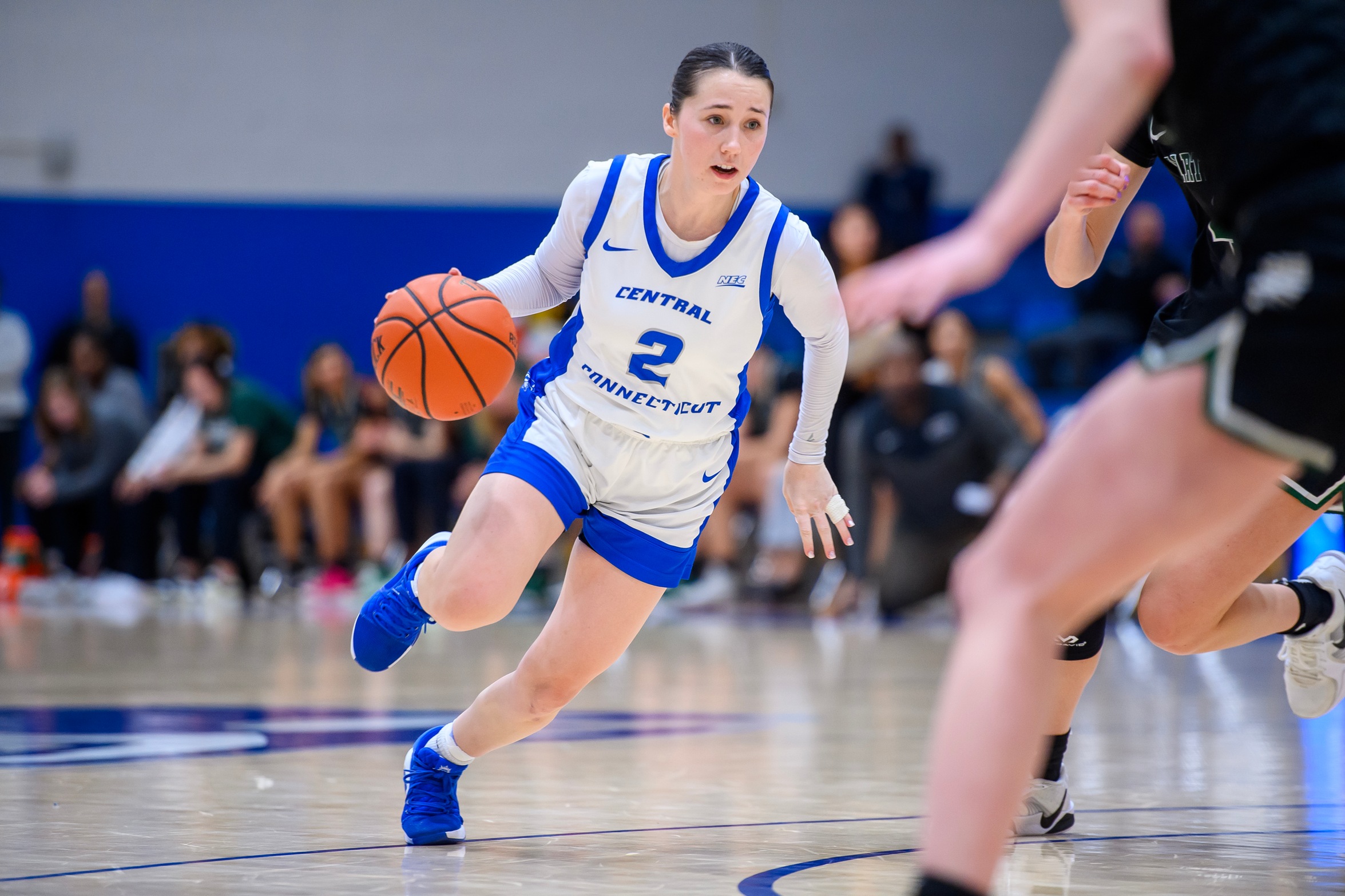 Women's Basketball Opens Homestand Versus LeMoyne