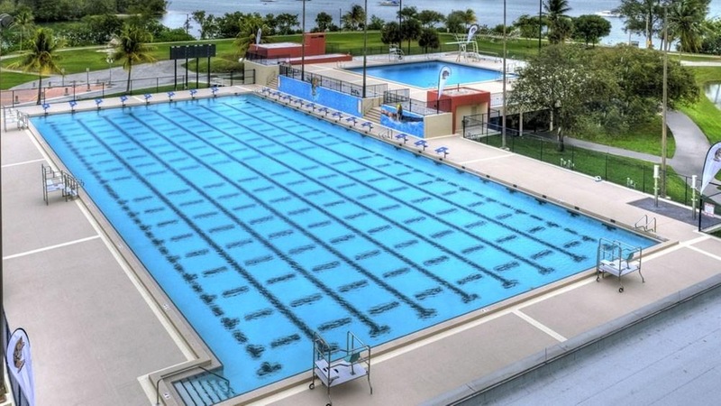 Swim and Diving Competes at Florida International on Saturday