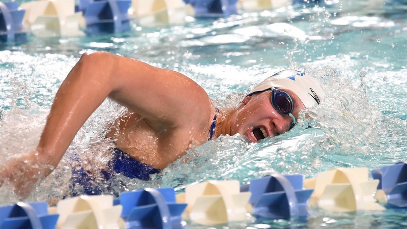 Swimming Wins Meet at LIU on Saturday
