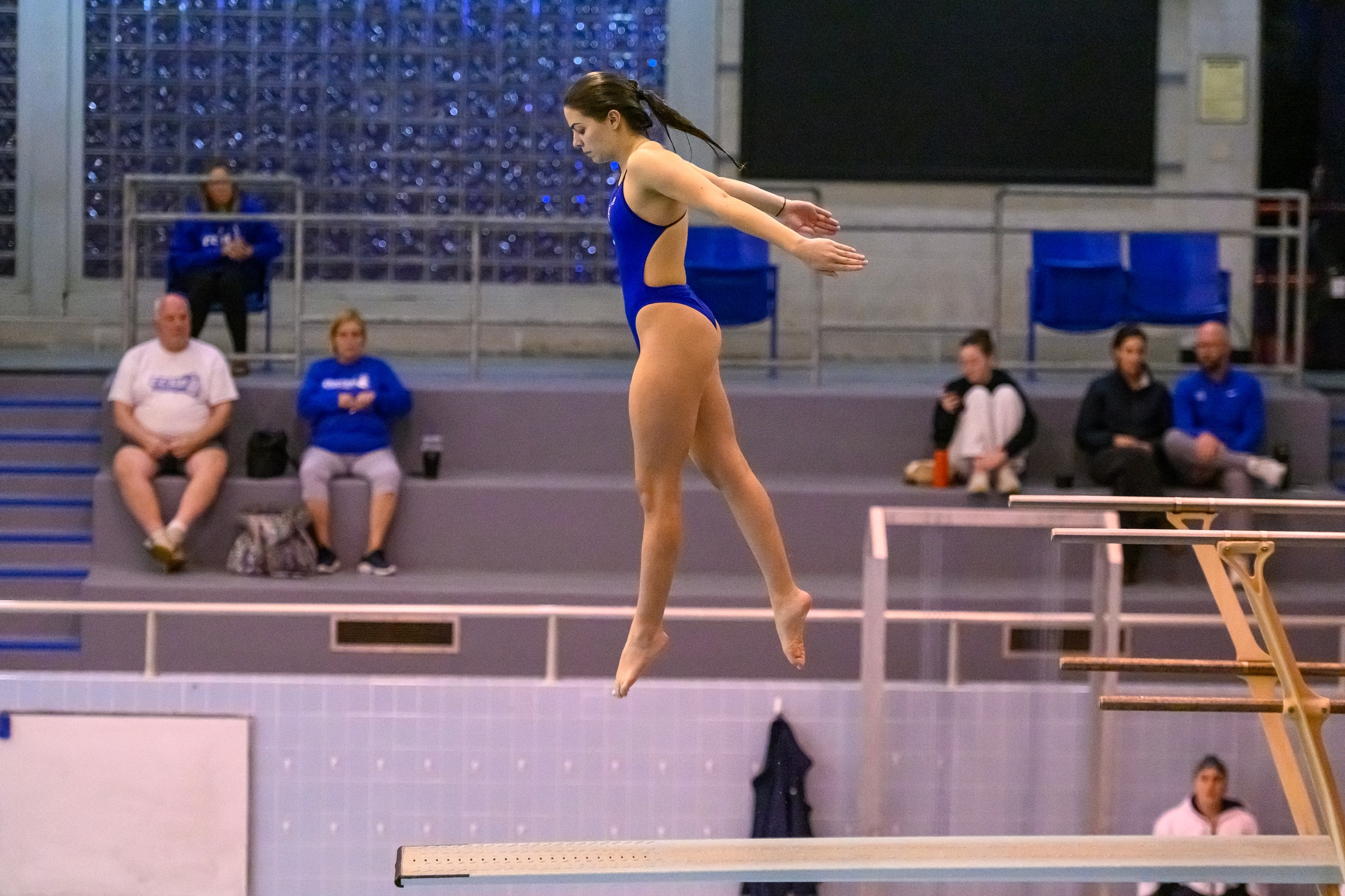 Carroll Named NEC Diver of the Week