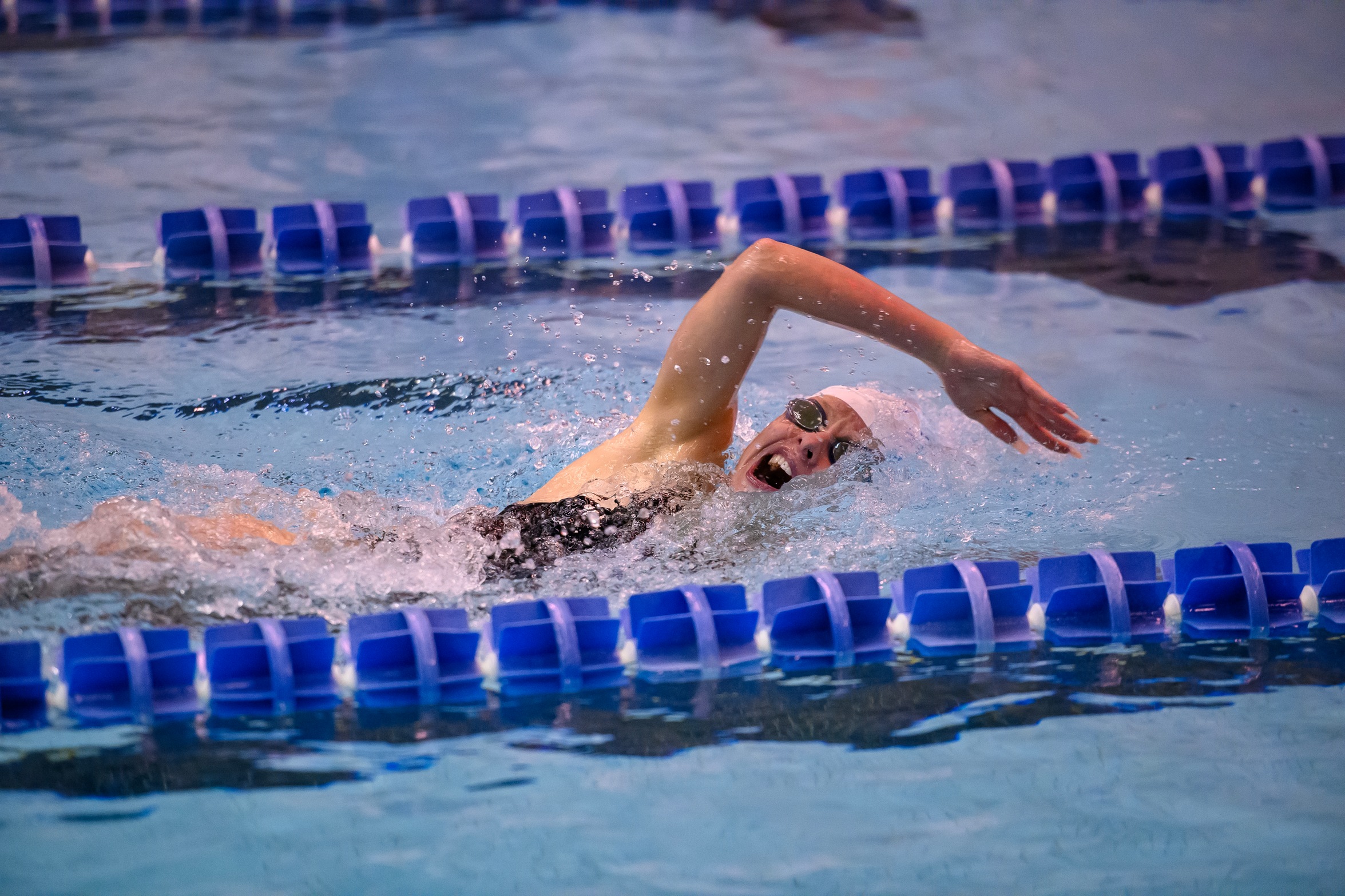 Swimming & Diving In Action For Mid-Winter Competition