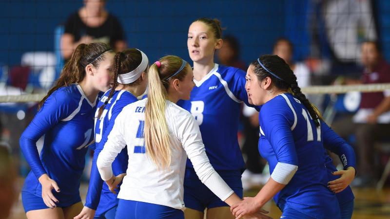 Volleyball Finishes Play at the Hartford Invitational Saturday