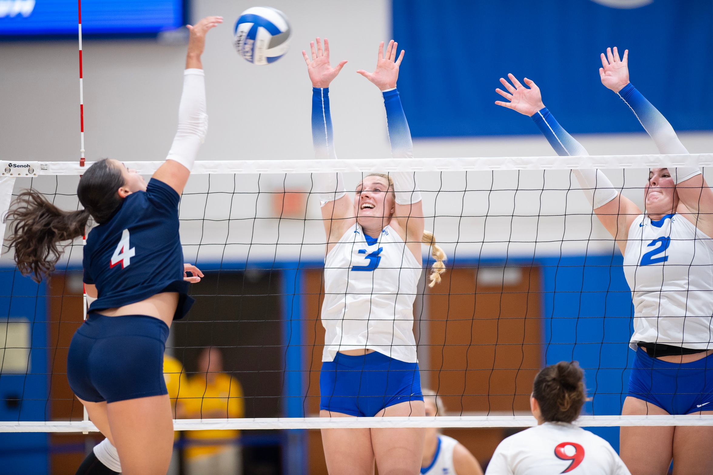 Mia Lombardo had seven blocks at FDU (Steve McLaughlin Photography)