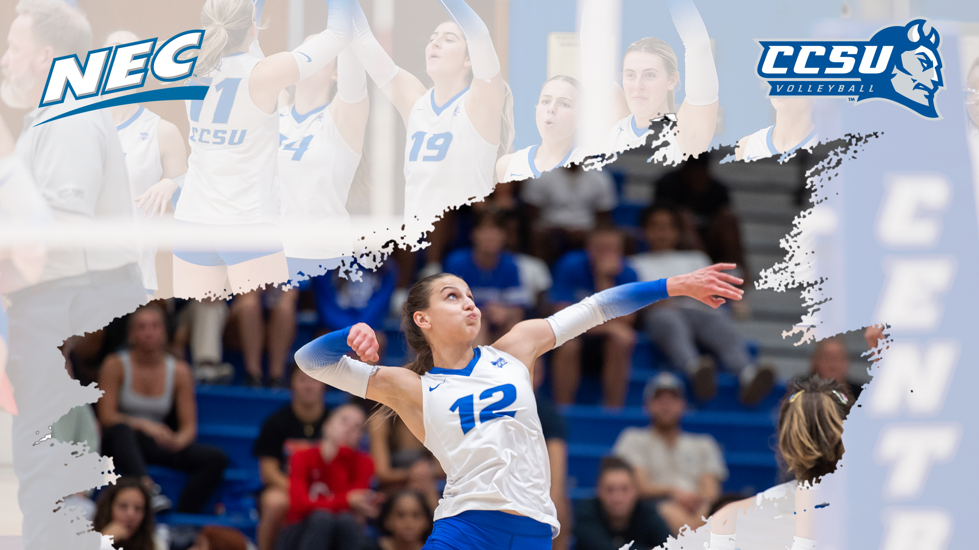 Volleyball Tabbed Fifth in NEC Preseason Poll